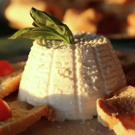 Holiday La Conchiglia Ricadi